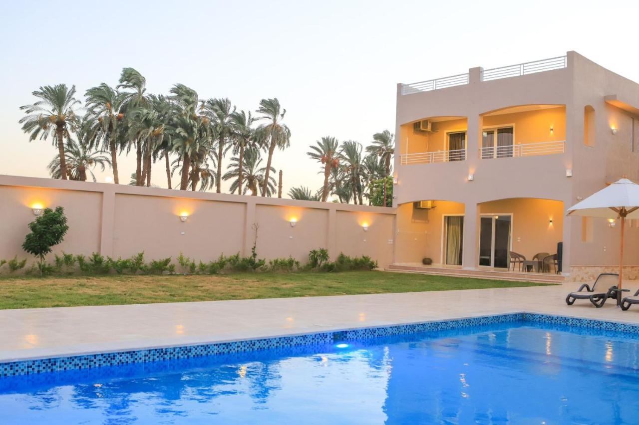 Royal Nile Villa - Pool View Apartment 1 Luxor Bagian luar foto