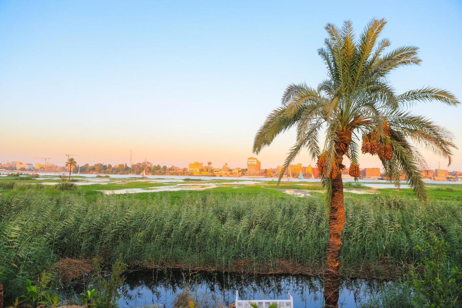 Royal Nile Villa - Pool View Apartment 1 Luxor Bagian luar foto