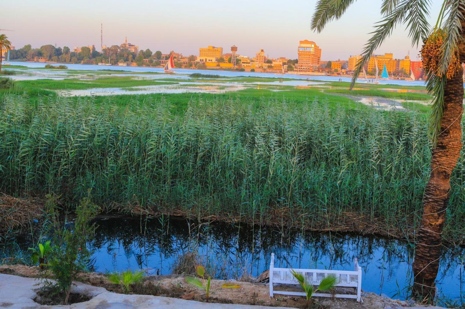 Royal Nile Villa - Pool View Apartment 1 Luxor Bagian luar foto